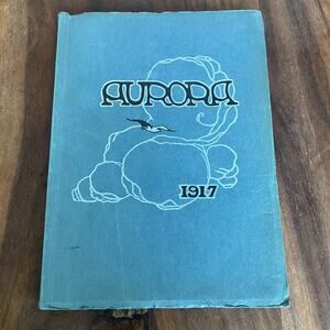 Union High School 1917 Aurora Yearbook Grand Rapids Michigan Vintage